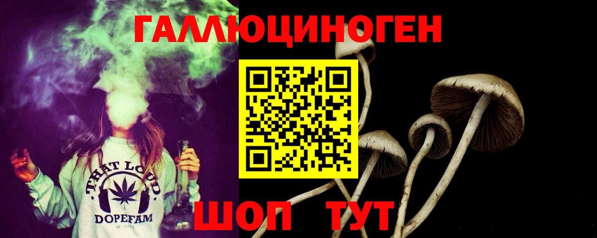 что такое   Галлюциногенные грибы MAGIC MUSHROOMS  Вход с VPN  Можга 